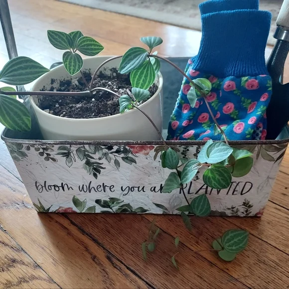 Rustic Plant boxes - *new* set of 2 - metal - Bloom Where You Are Planted - Picture 10 of 11